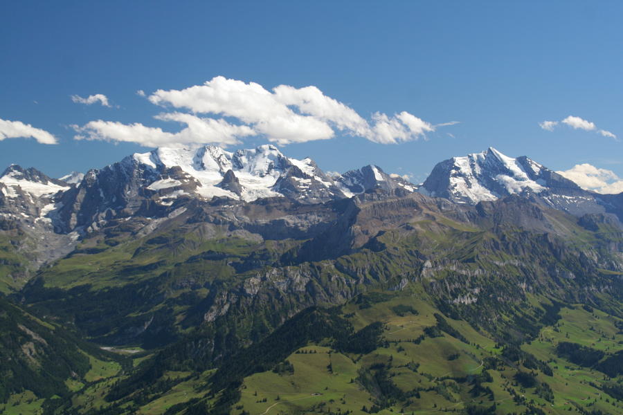 [img_4803.jpeg]